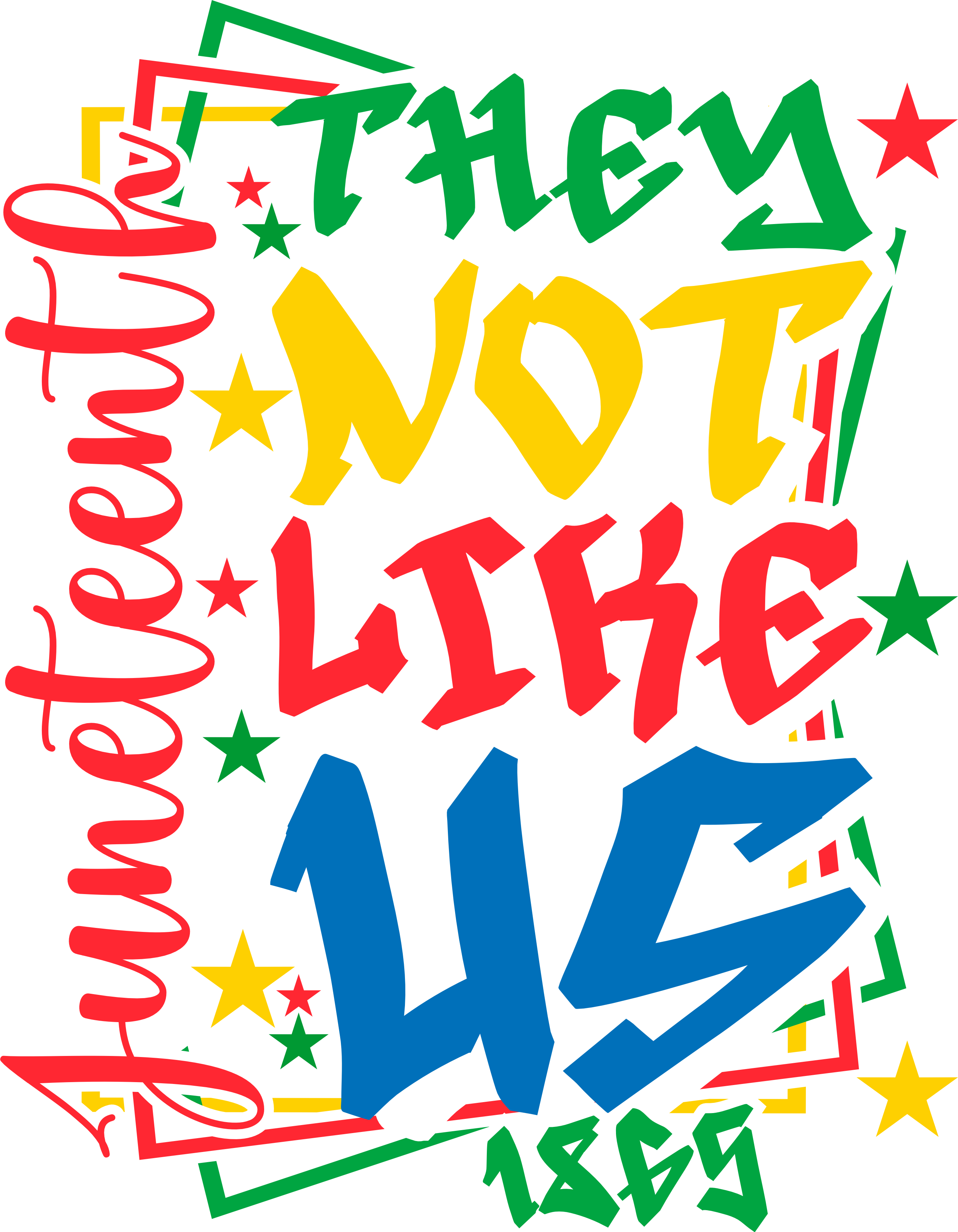 JN2 - They Not Like Us DTF Transfer