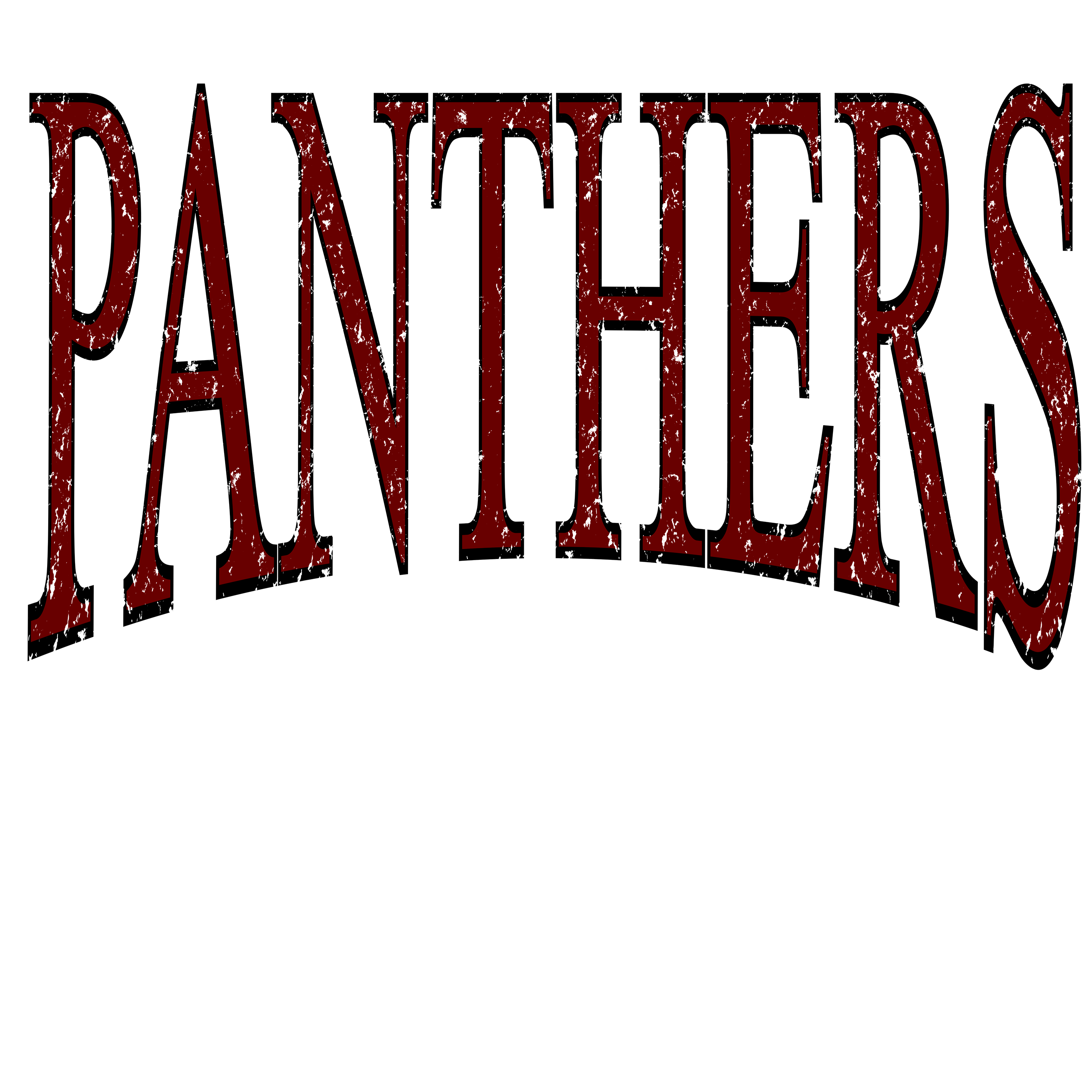 Panthers Times DTF Transfer