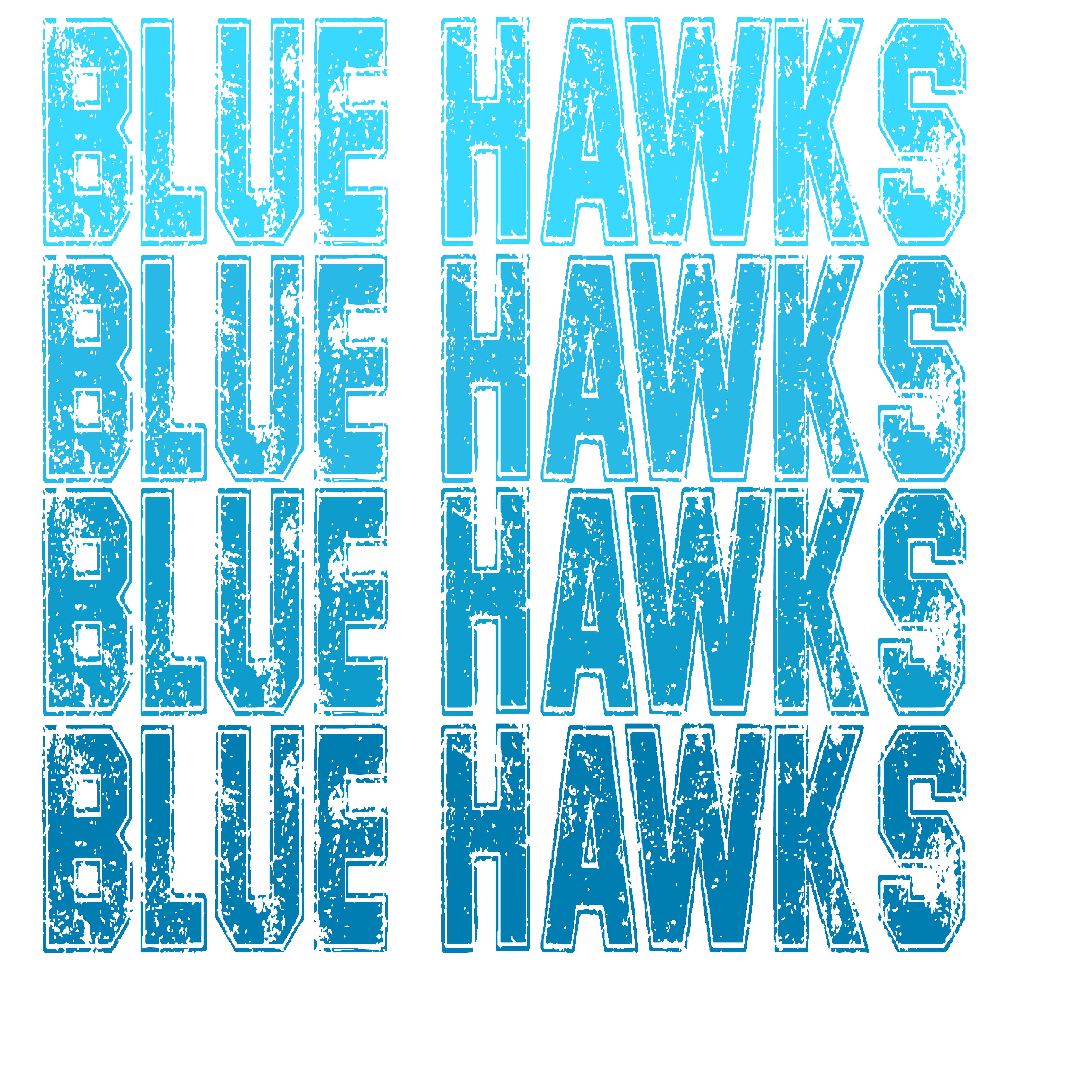 SP31 - Ombre Blue Hawks DTF Transfer