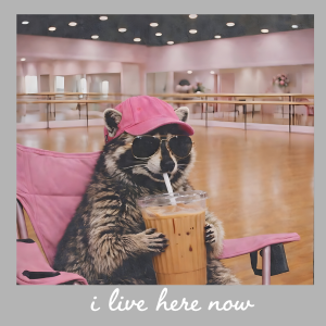 DN1 - Dance Mom DTF Transfer