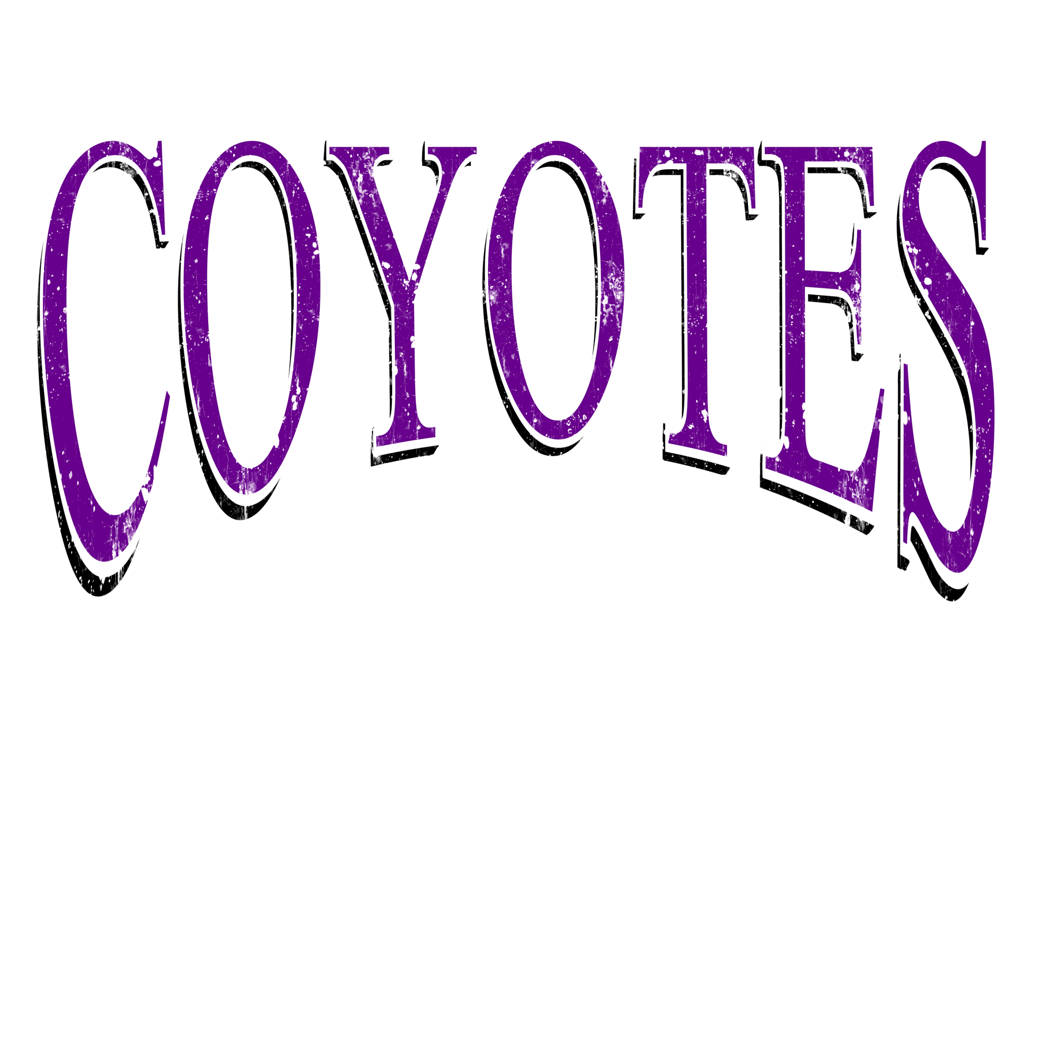 Coyotes Times DTF Transfer - My Vinyl Craft