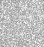 Longhorns Glitter Puff Transfer **PRE - ORDER** - My Vinyl Craft