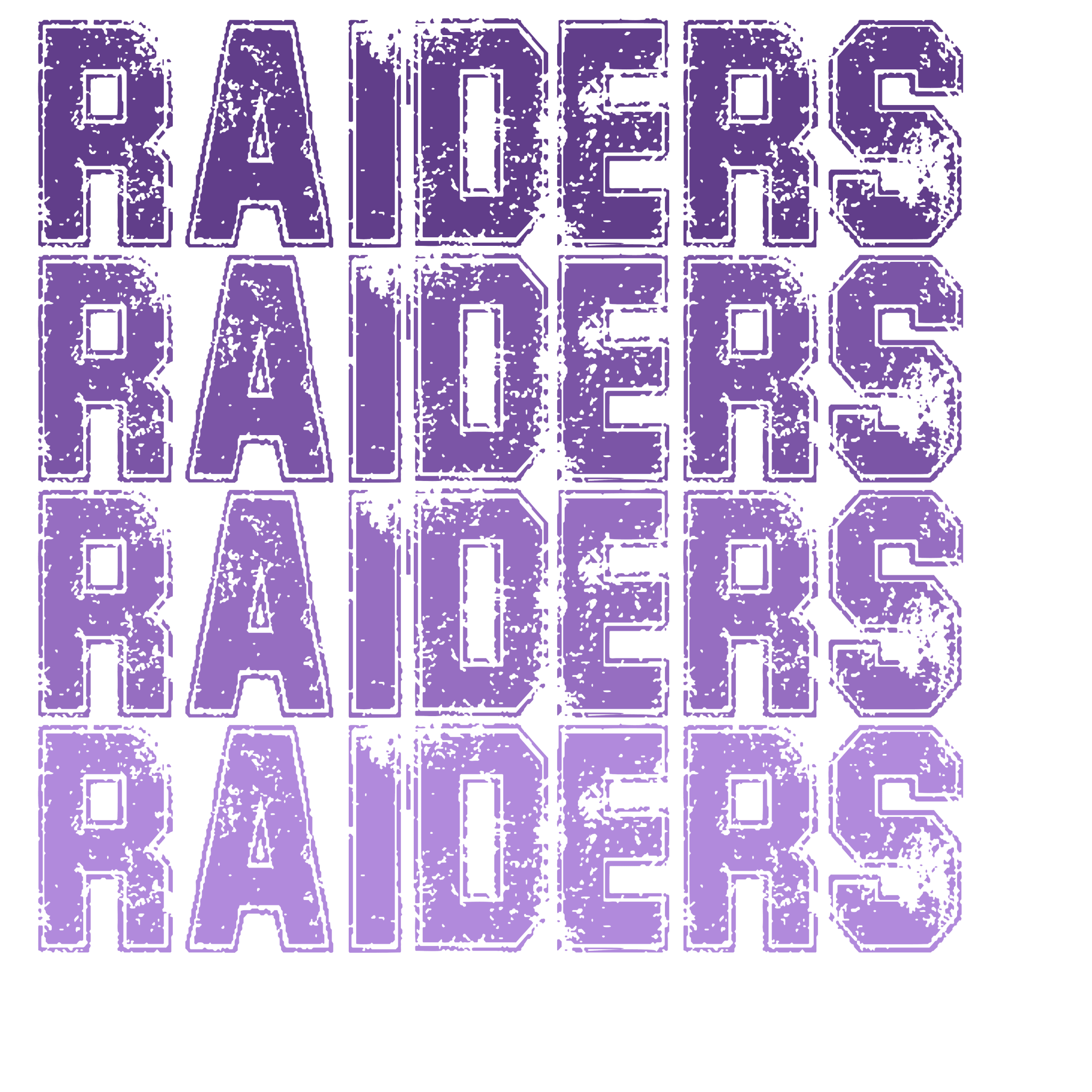 SP32 - Ombre Raiders DTF Transfer - My Vinyl Craft