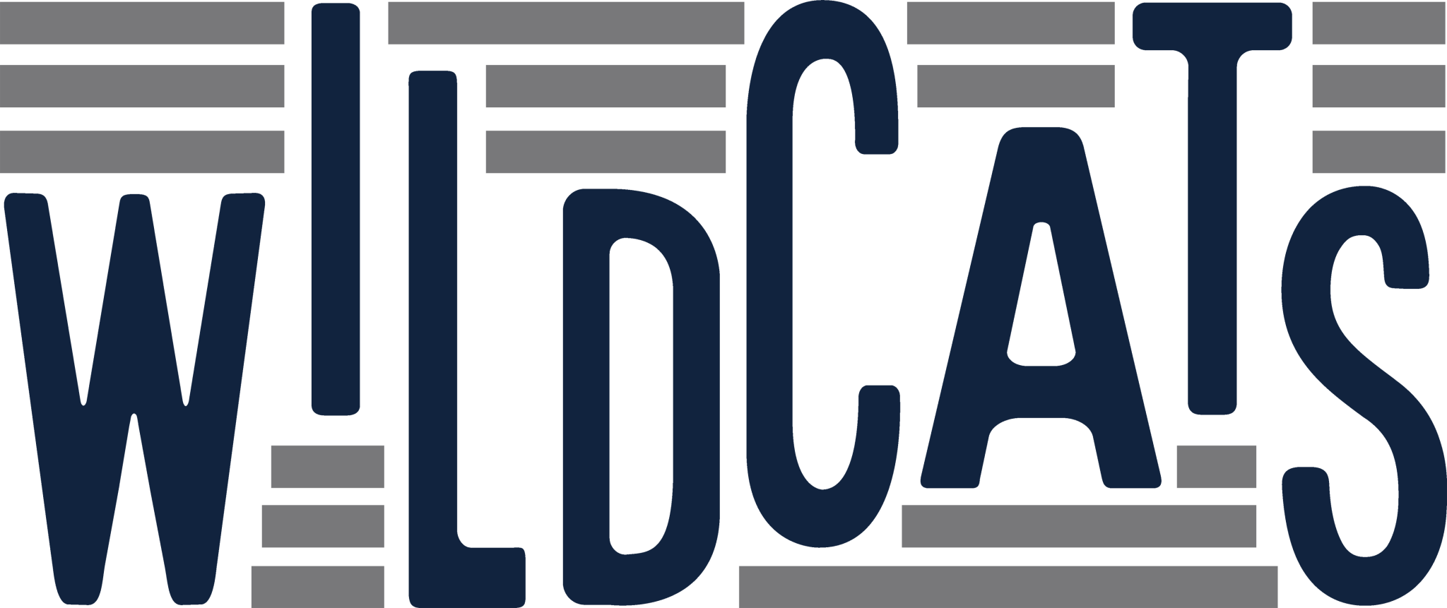 SP63 - Wildcats Lines DTF Transfer - My Vinyl Craft