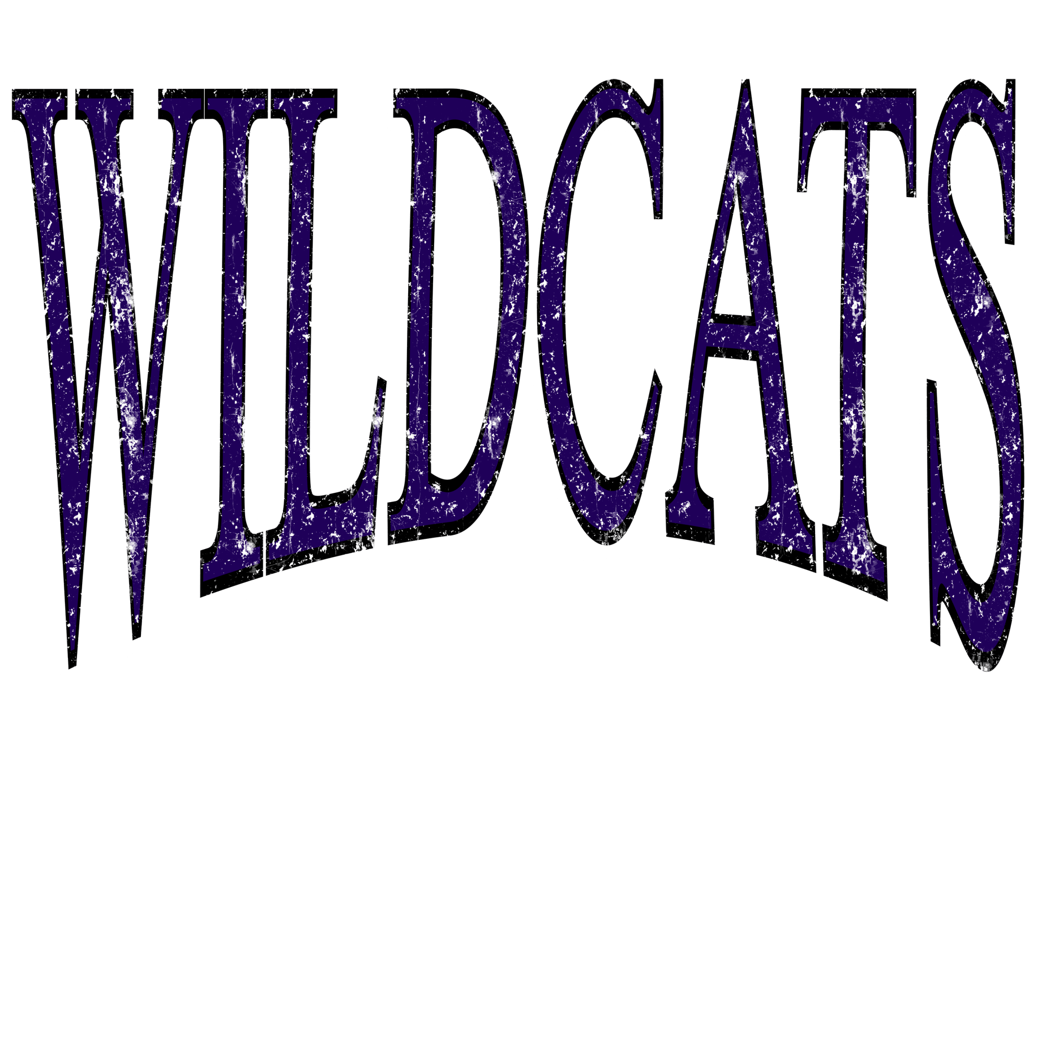 Wildcat Times DTF Transfer - My Vinyl Craft