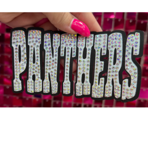 Panthers Oversize Hat Rhinestone Transfer