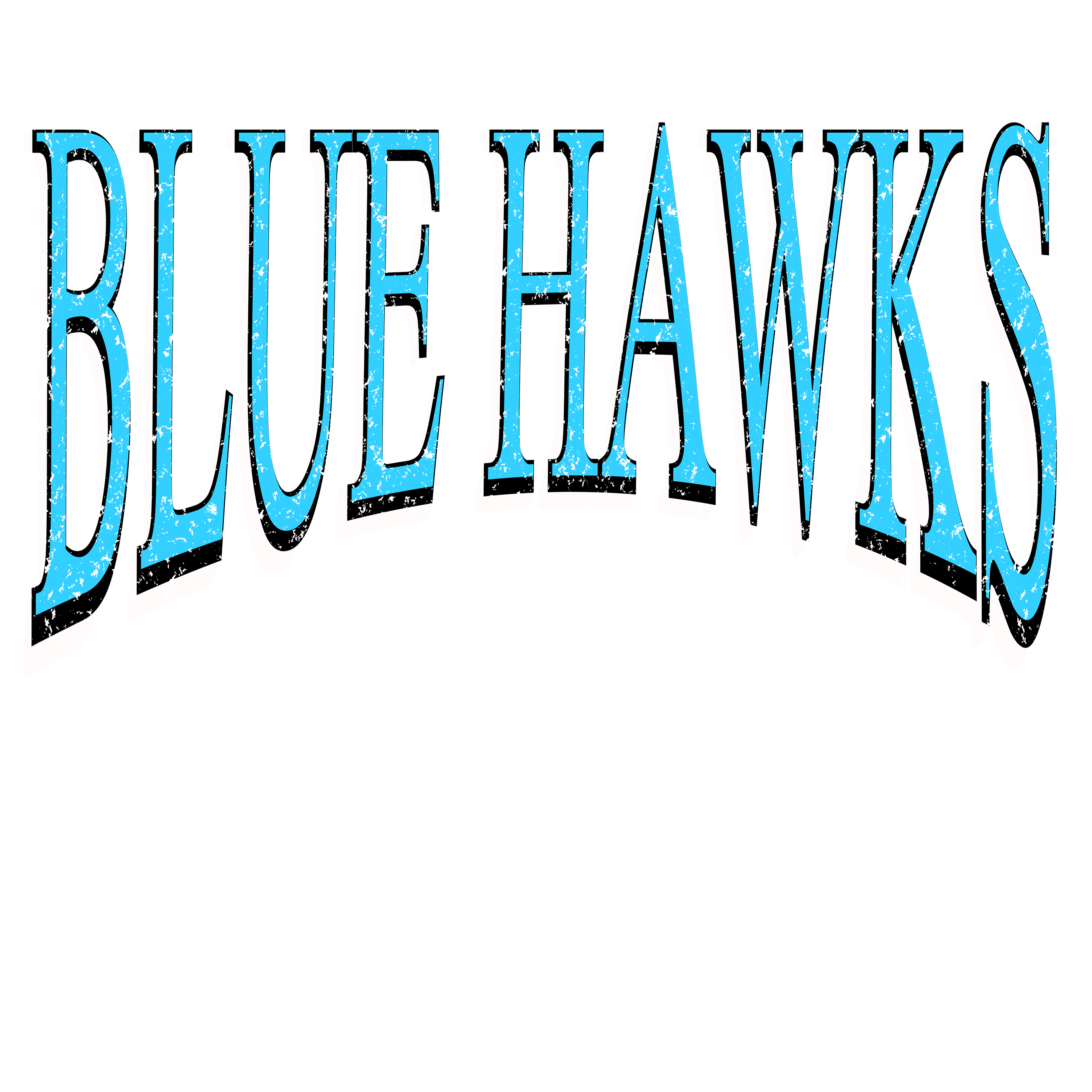 Blue hawk Times DTF Transfer