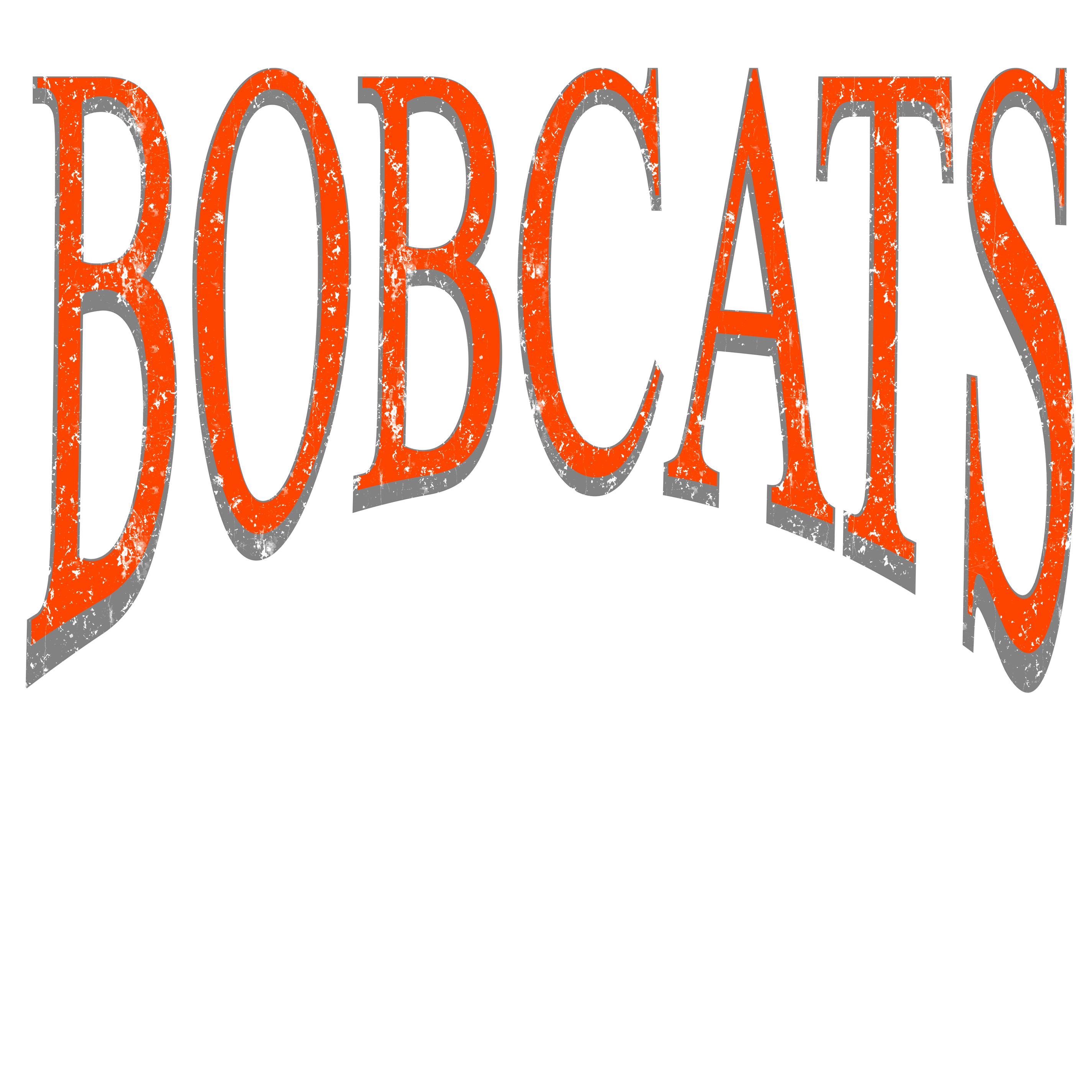 Bobcats Times DTF Transfer