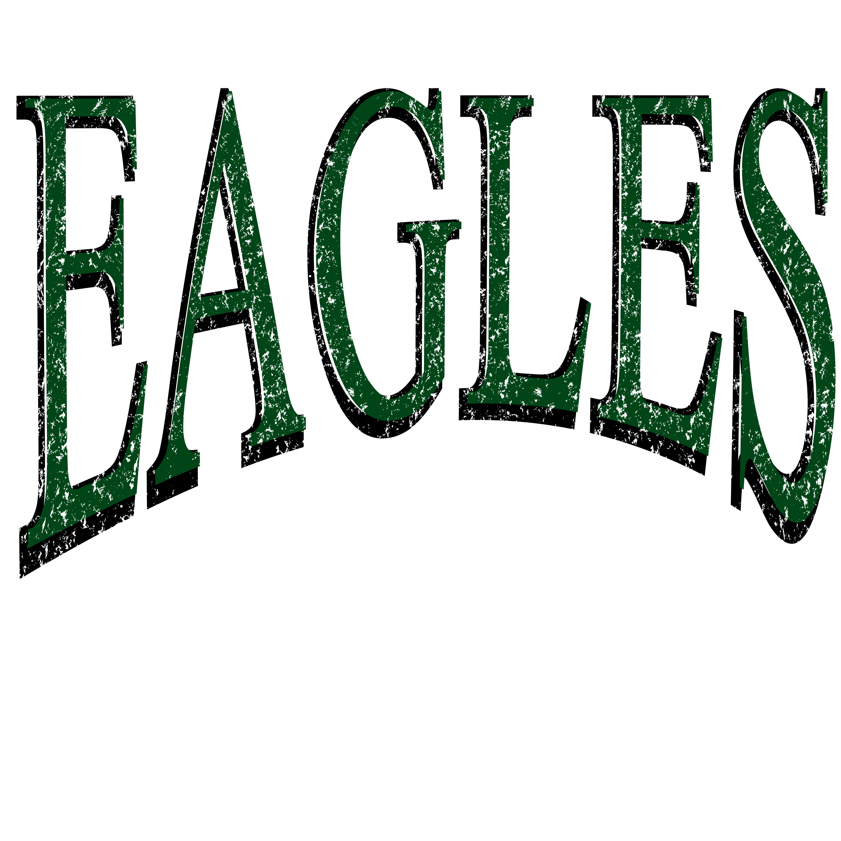 Eagles Times DTF Transfer
