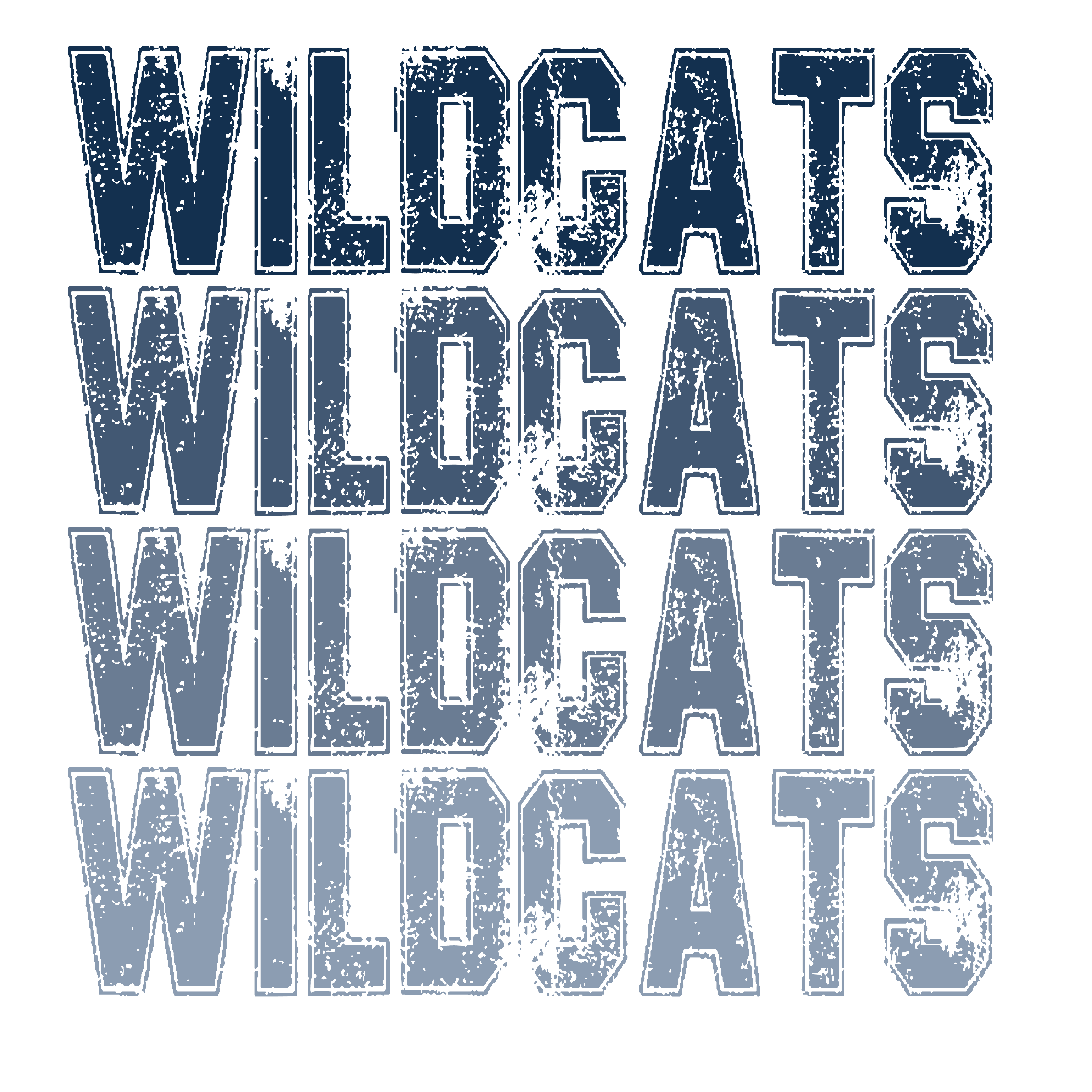 SP79 - Ombre Wildcats DTF Transfer