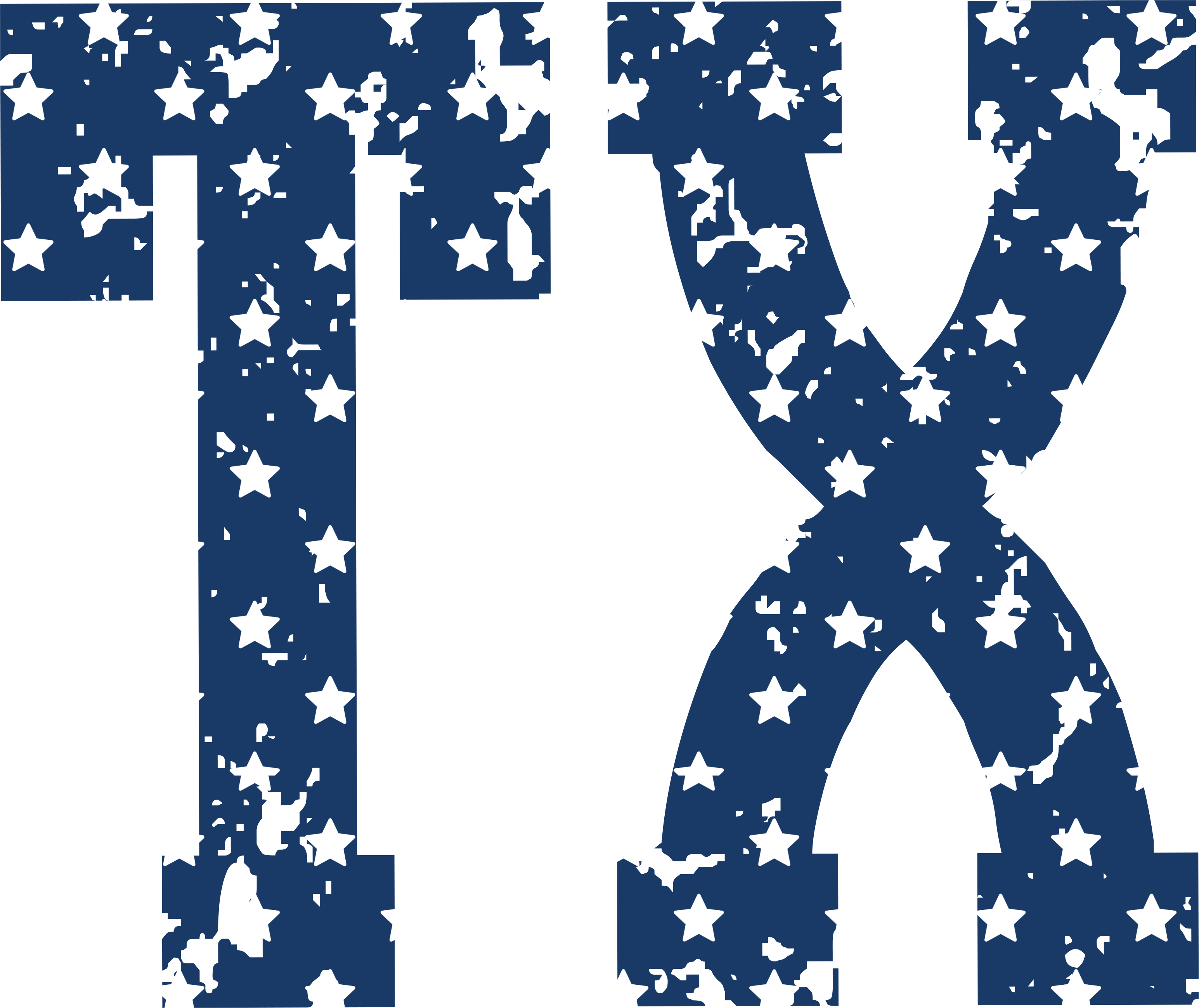 S10 - Blue TX Stars DTF Transfer