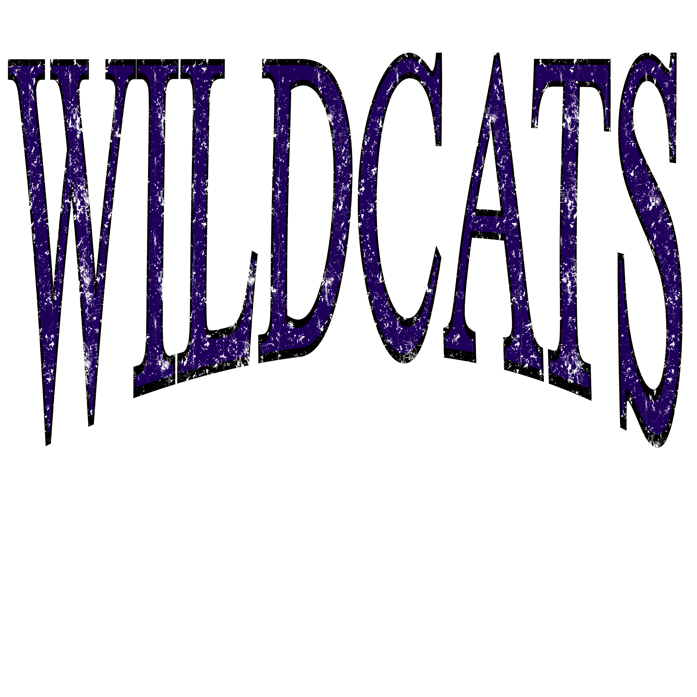 Wildcat Times DTF Transfer
