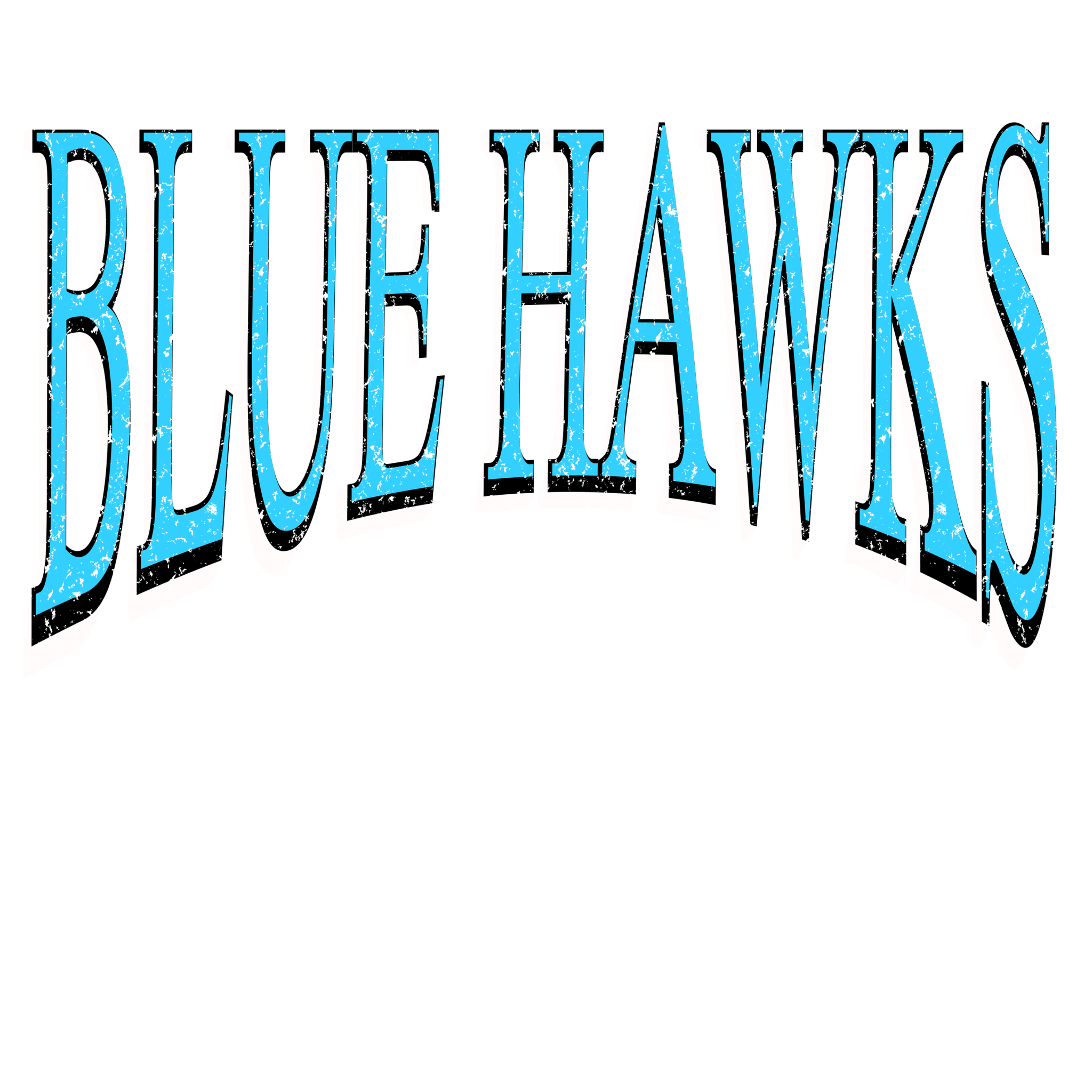 Blue hawk Times DTF Transfer - My Vinyl Craft
