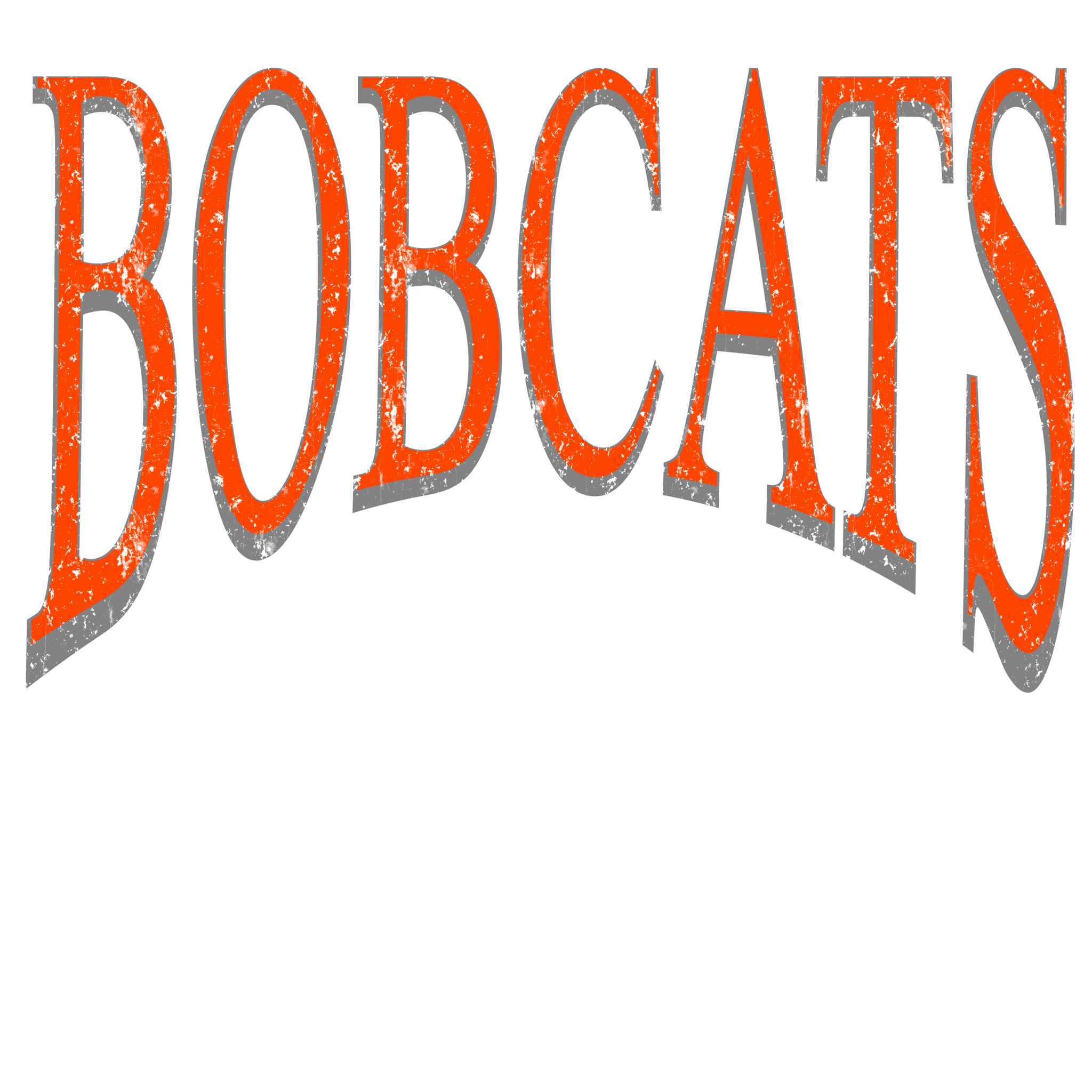 Bobcats Times DTF Transfer - My Vinyl Craft