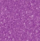 Mustangs Mascot Glitter Puff Transfer **PRE - ORDER** - My Vinyl Craft