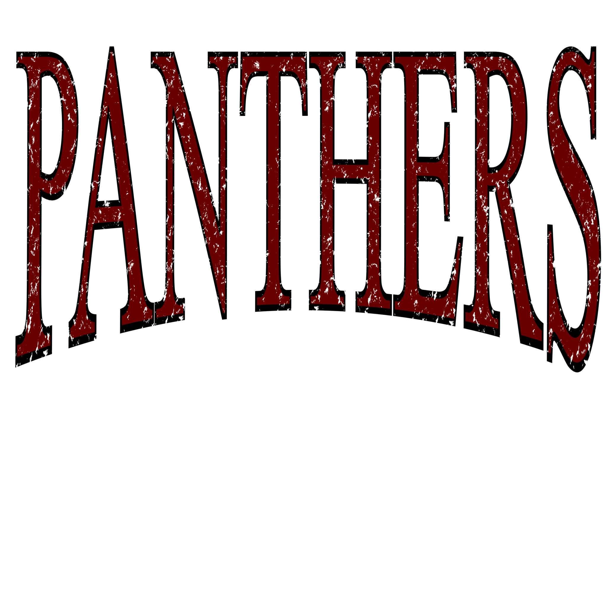 Panthers Times DTF Transfer - My Vinyl Craft