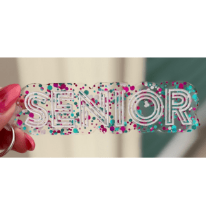 Purple/Teal Senior Lines Keychain - My Vinyl Craft