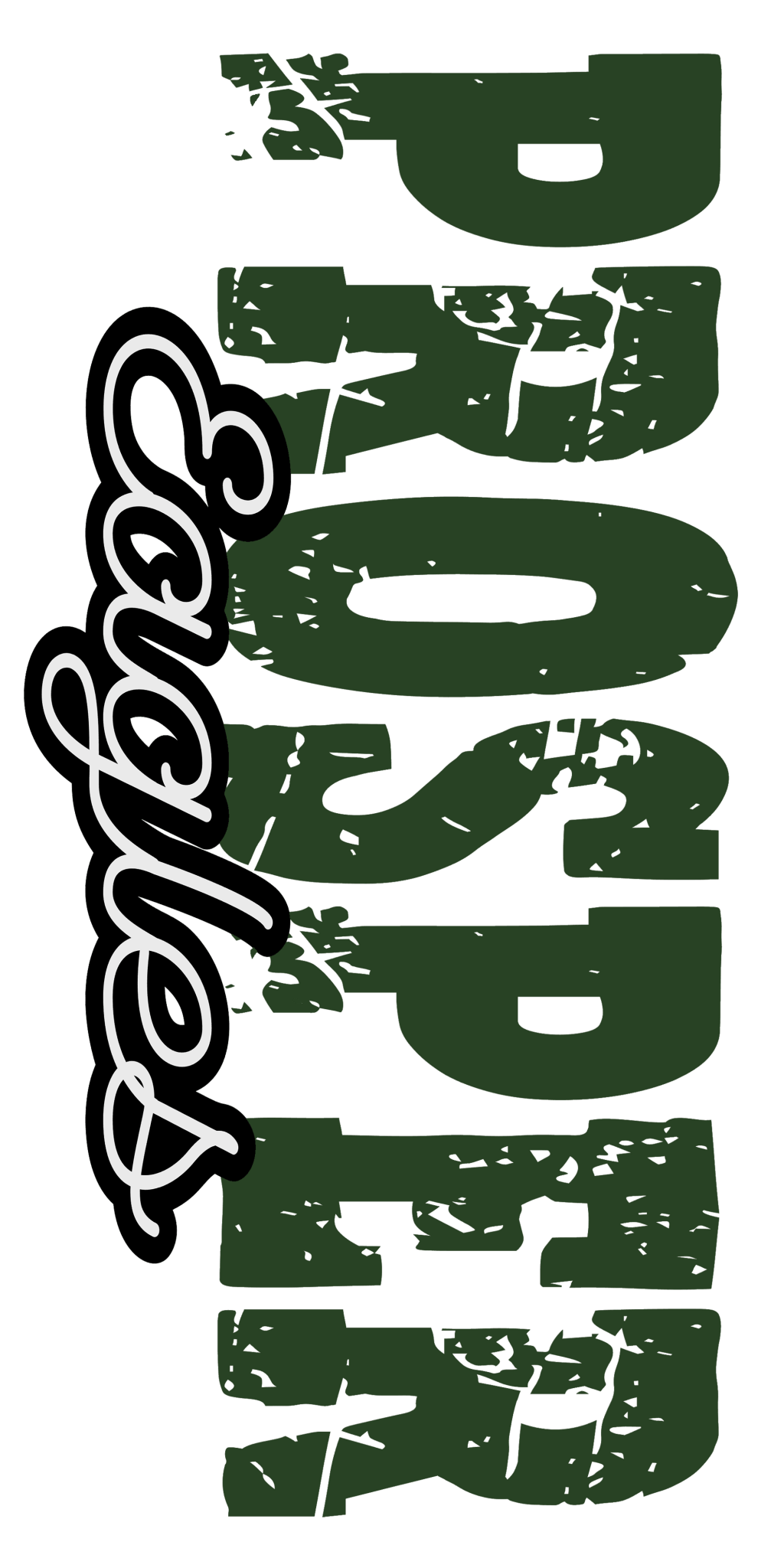 SP102 - Prosper Eagles DTF Transfer - My Vinyl Craft