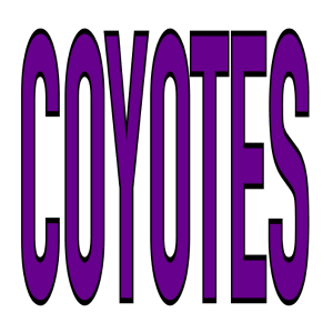 SP163 - Tall Coyotes DTF Transfer - My Vinyl Craft