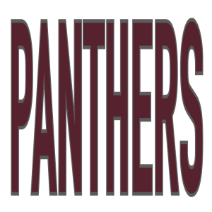SP164 - Tall Panthers DTF Transfer - My Vinyl Craft