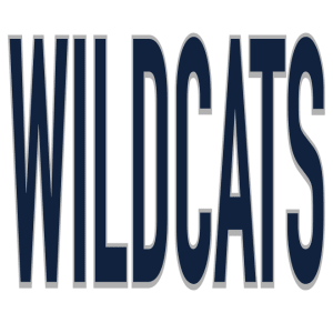 SP169 - Tall Wildcats DTF Transfer - My Vinyl Craft