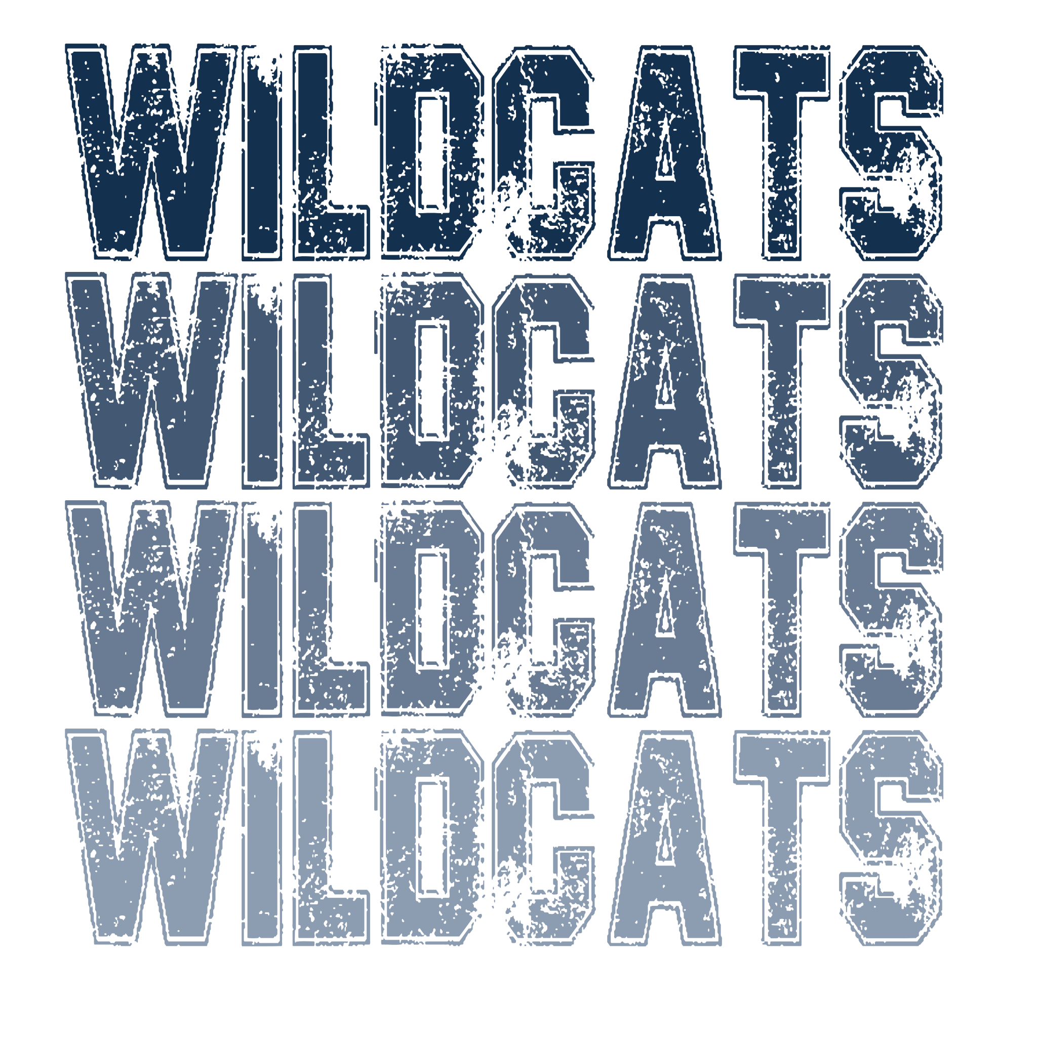 SP79 - Ombre Wildcats DTF Transfer - My Vinyl Craft
