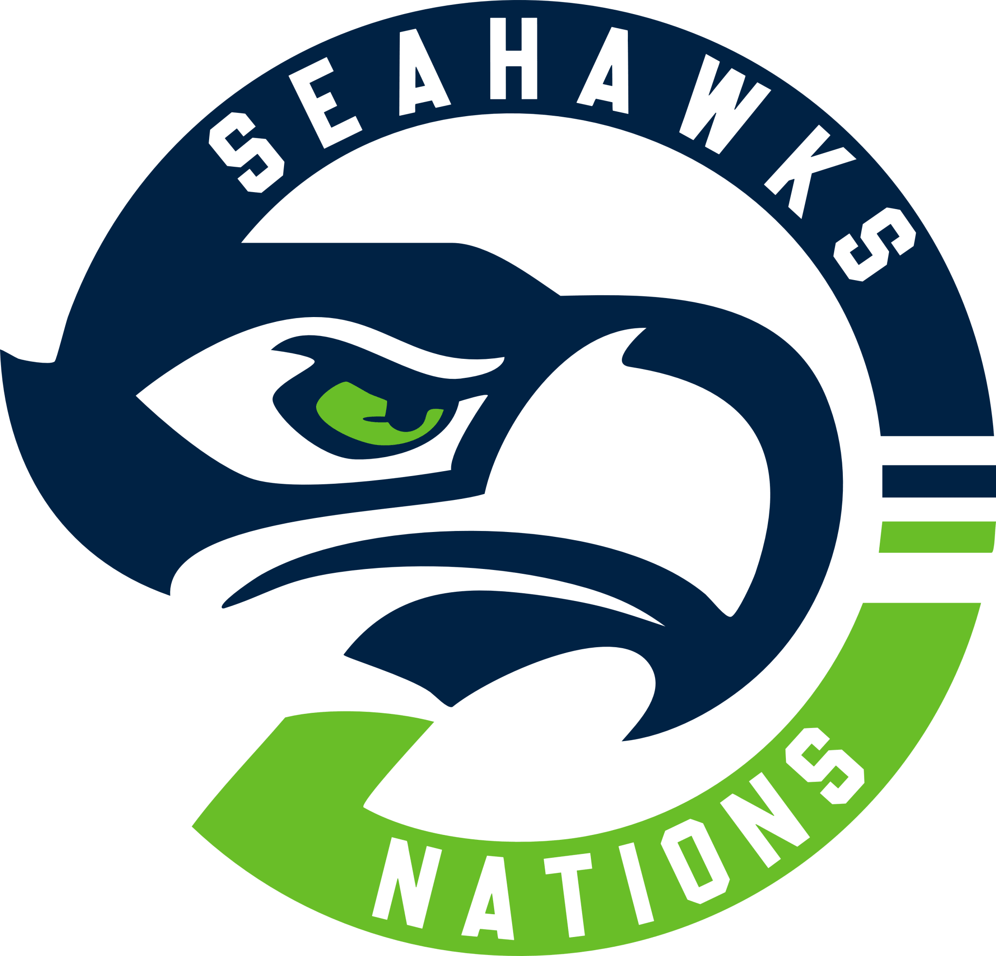 SS19 - Seahawk Nation DTF Transfer - My Vinyl Craft