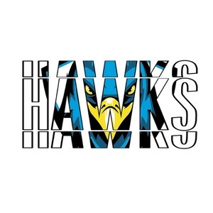 Hawks DTF Transfer - My Vinyl Craft
